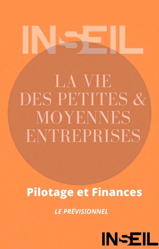 La vie des TPE PME Edition Inseil